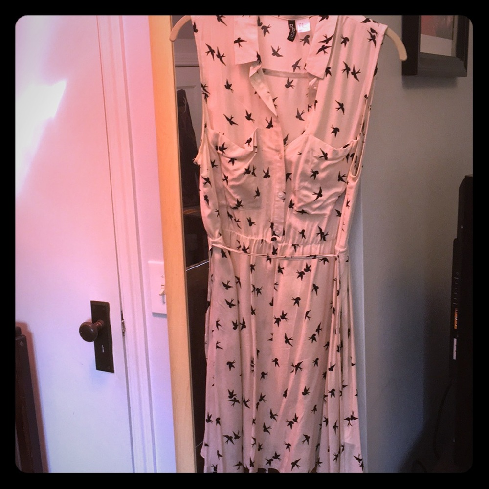 H&M dress with birds
